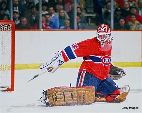 patrick roy as seen by his contemporaries PDF