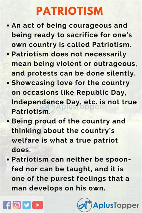 patriotism essays by kids PDF