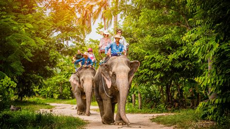 pattaya elephant village