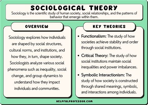 pattern meaning history social theory Reader