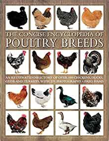 pdf book concise encyclopedia poultry breeds illustrated Doc