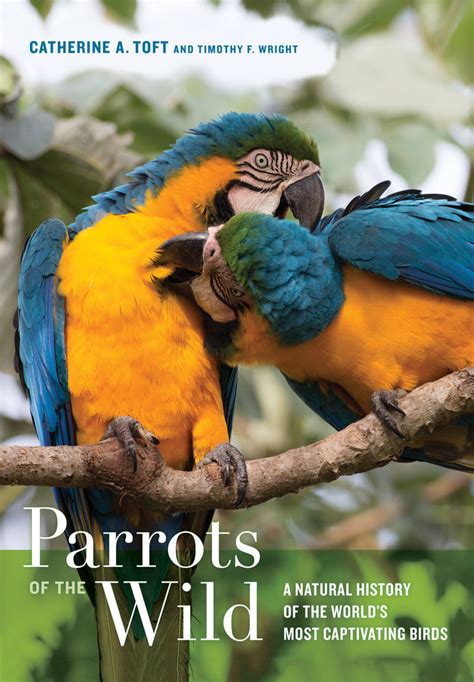 pdf book parrots wild natural history captivating Reader