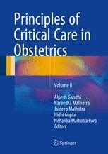 pdf book principles critical care obstetrics ii PDF