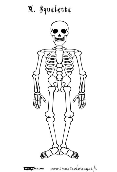 pdf de l au squelette pdf gratuitement Doc