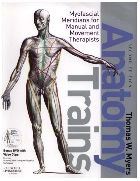 pdf download anatomy trains myofascial PDF