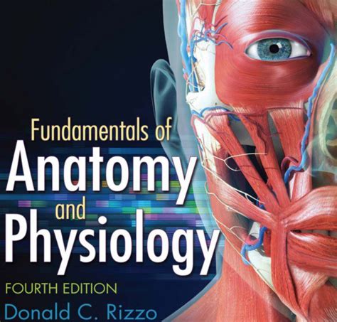 pdf download fundamentals of anatomy Kindle Editon