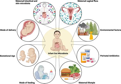 pdf download your baby microbiome Reader