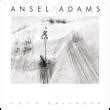 pdf free ansel adams 2013 engagement Kindle Editon