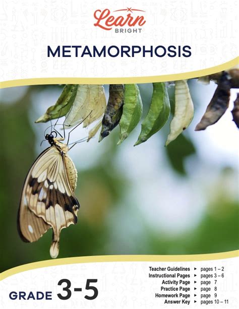 pdf free download metamorphosis Epub