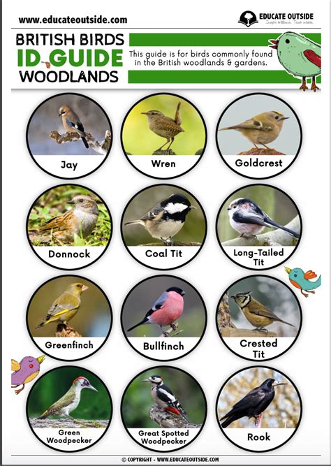 pdf free garden and woodland birds Kindle Editon