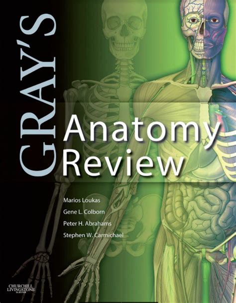 pdf free gray anatomy review with PDF