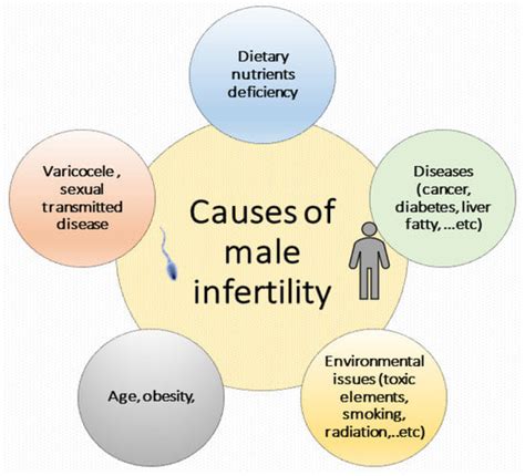 pdf free infertility in male current PDF