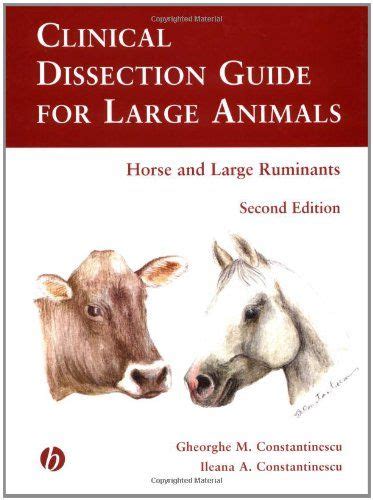 pdf free large animal clinical Doc