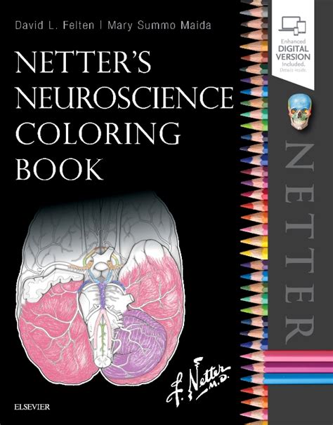 pdf free netter neuroscience coloring PDF
