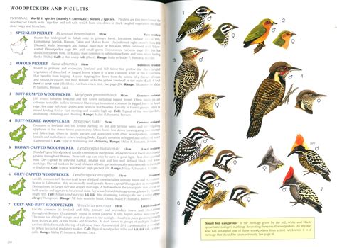 pdf free phillipps field guide to birds Epub