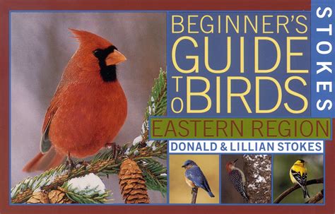 pdf free stokes beginner guide to birds PDF