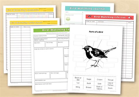 pdf free superactiv birdwatching PDF
