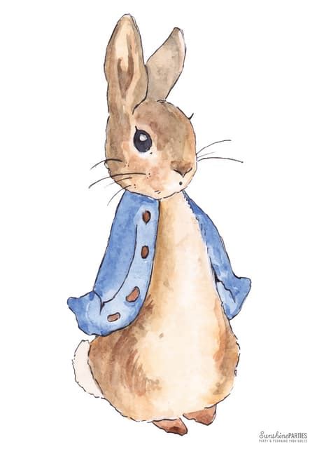 pdf free world of peter rabbit original PDF