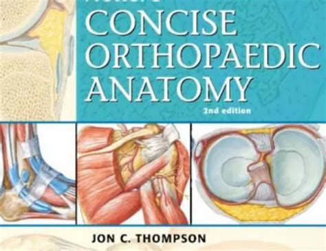pdf netter concise orthopaedic Reader