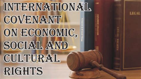 pdf online economic social rights global financial Reader