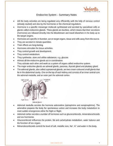 pdf study guide chapter 10 endocrine glands Reader