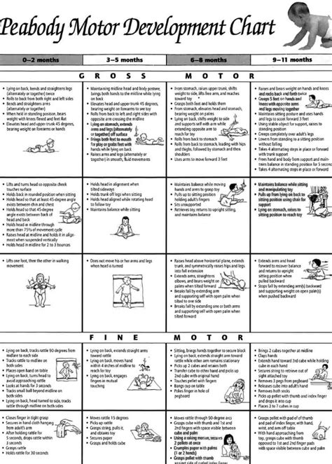 peabody gross motor developmental scale PDF