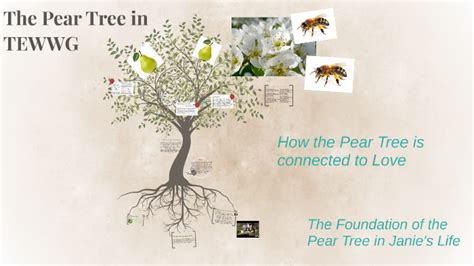 pear tree tewwg chapter