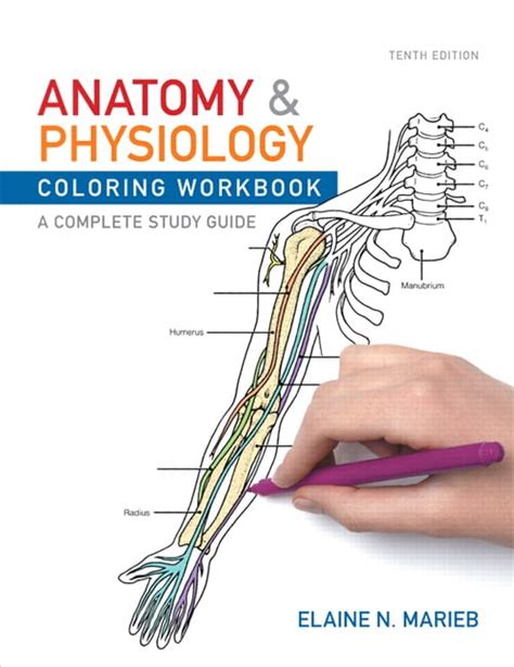 pearson anatomy and physiology workbook 10th edition Ebook Kindle Editon