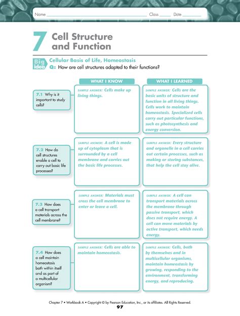 pearson education biology workbook answers ch 7 Epub