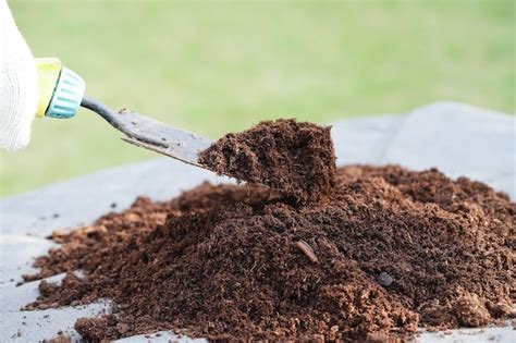 peat moss and fertilizer