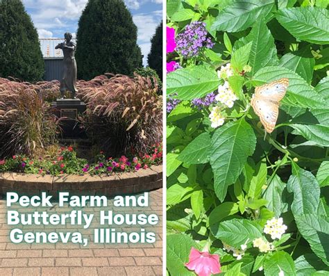 peck farm butterfly house