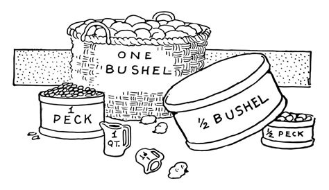 pecks in a bushel