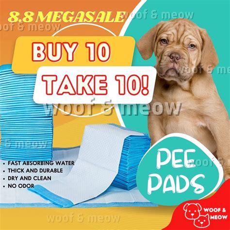 pee pads buy