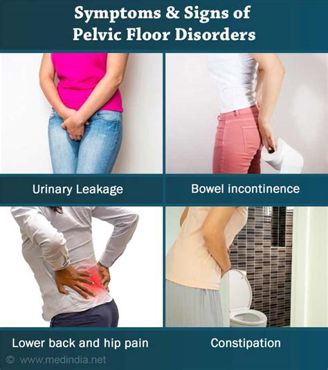 pelvic floor disorders pelvic floor disorders PDF