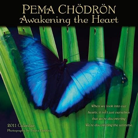 pema chodron awakening the heart 2011 mini calendar 7 x 7 inch Reader