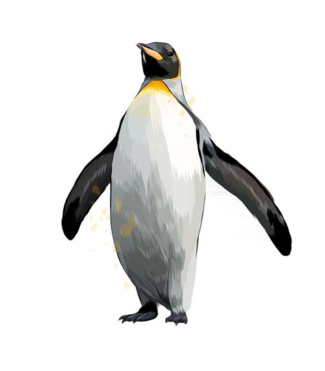 penguin realistic