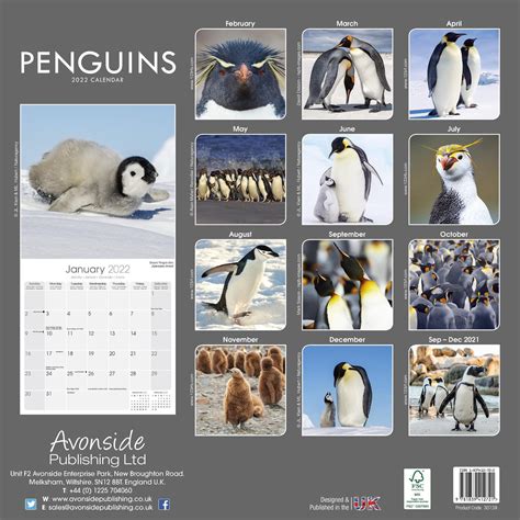 penguins wall calendar 2000 calendar Epub