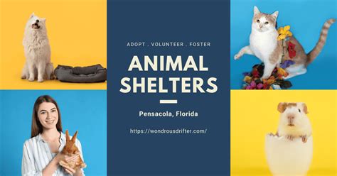 pensacola animal adoption