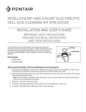 pentair intellichlor cleaning instructions Kindle Editon