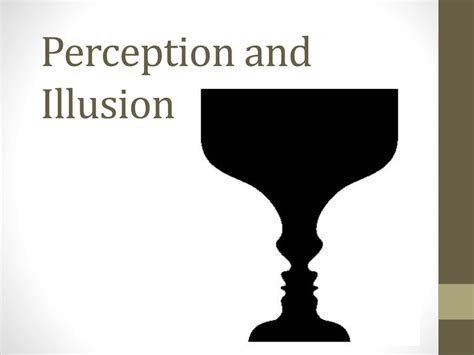 perception and illusion perception and illusion Doc