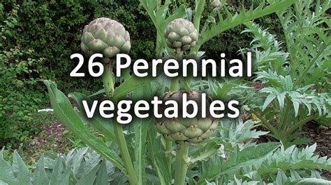 perennial vegetables perennial vegetables PDF