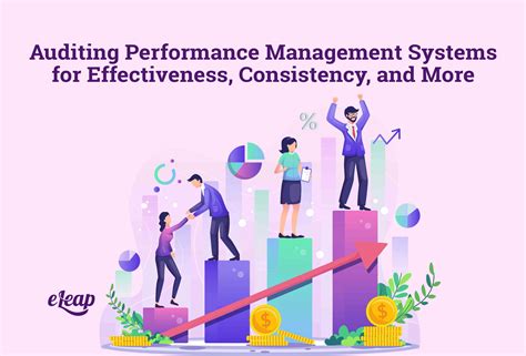 performance auditing performance auditing PDF