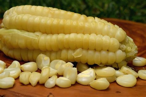 peruvian corn