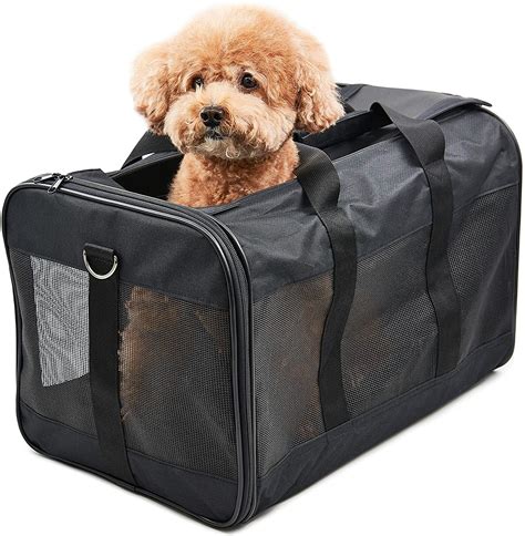 pet bag