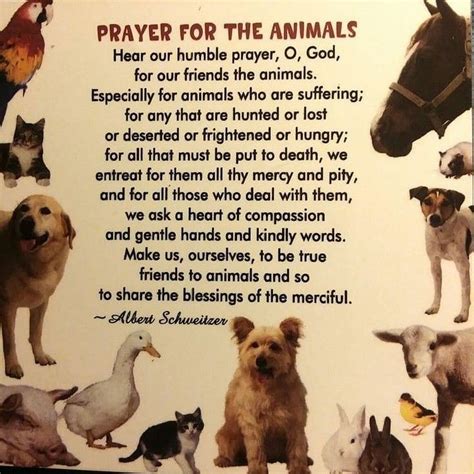 pet prayers prayers for the loving creatures so close to your heart Doc