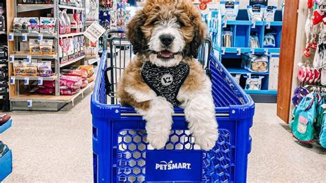 pet supplies shop online