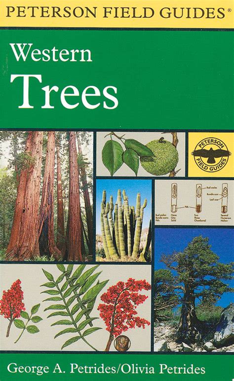 peterson field guider to western trees Epub