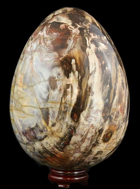 petrified egg