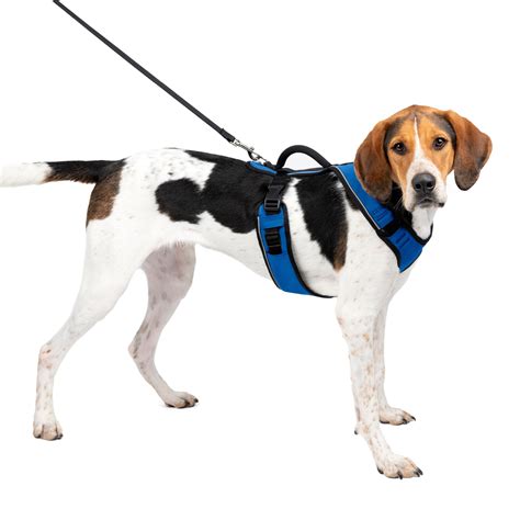 petsafe dog harness