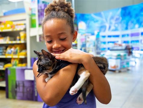 petsmart adopt a cat